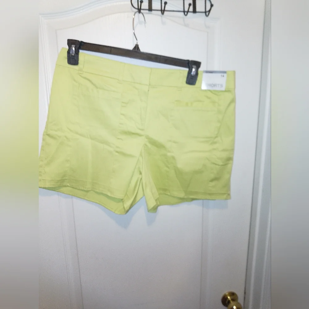 NWT/Neon green New York and company shorts /Size :14